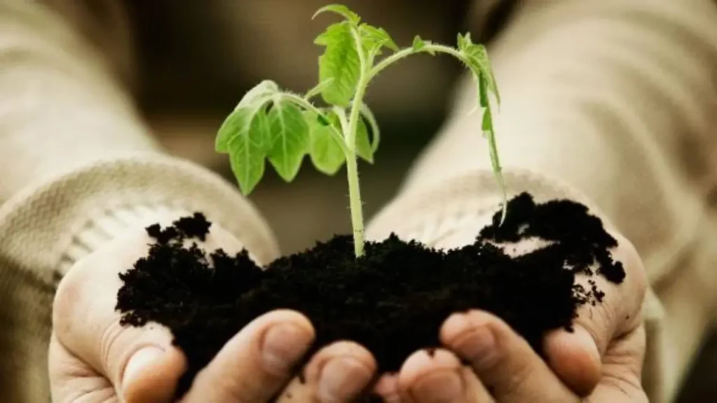 ISO 14001:2015